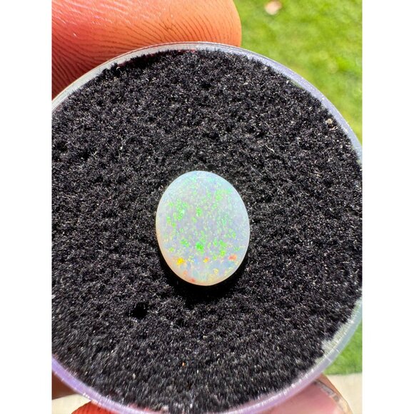 Australian Opal Cabochon - 0.90 carat in Display Box #189 - Picture 5 of 8